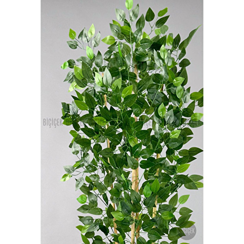 Biçiçek Yapay Benjamin Ağacı 180cm Yoğun Yapraklı Bambu Gövdeli Antrasit Renk Kumsal Saksıda
