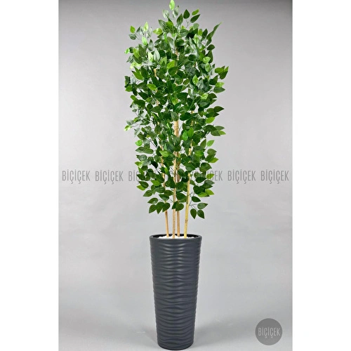 Biçiçek Yapay Benjamin Ağacı 180cm Yoğun Yapraklı Bambu Gövdeli Antrasit Renk Kumsal Saksıda