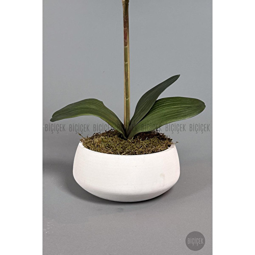 Biçiçek Yapay Çiçek Dekoratif Beton Saksıda Büyük Boy Beyaz Islak Orkide Biçiçek Yapay Çiçek Dekoratif Beton Saksıda Büyük Boy Beyaz Islak Orkide