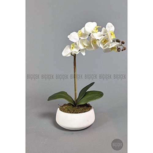 Biçiçek Yapay Çiçek Dekoratif Beton Saksıda Büyük Boy Beyaz Islak Orkide