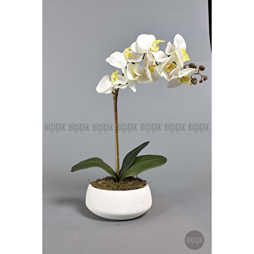Biçiçek Yapay Çiçek Dekoratif Beton Saksıda Büyük Boy Beyaz Islak Orkide Biçiçek Yapay Çiçek Dekoratif Beton Saksıda Büyük Boy Beyaz Islak Orkide