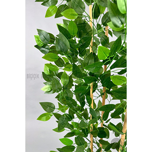 Biçiçek Yapay Benjamin Ağacı 170cm Yoğun Yapraklı Bambu Gövdeli Kırıkbeyaz Renk Nergis Saksıda