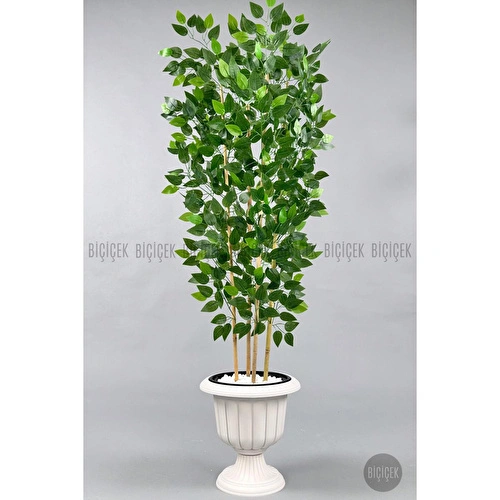 Biçiçek Yapay Benjamin Ağacı 170cm Yoğun Yapraklı Bambu Gövdeli Kırıkbeyaz Renk Nergis Saksıda