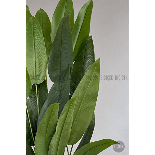 Biçiçek Yapay Ağaç Starliçe 220cm Xxl Boy Siyah Renk Büyük Boy Yakut Saksıda Biçiçek Yapay Ağaç Starliçe 220cm Xxl Boy Siyah Renk Büyük Boy Yakut Saksıda