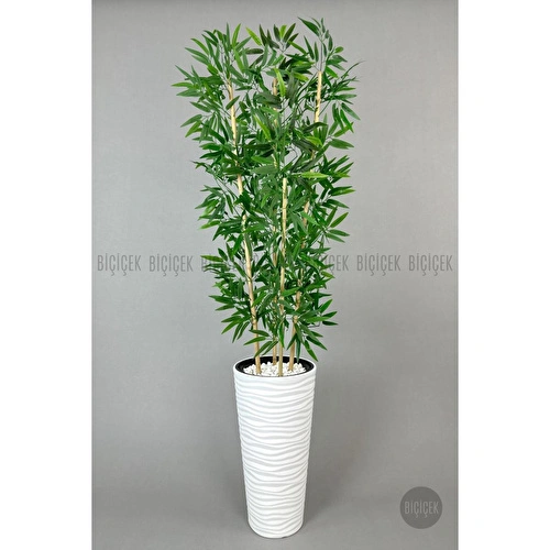 Biçiçek Yapay Bambu Ağacı 180cm Yoğun Yapraklı Beyaz Renk Kumsal Saksıda