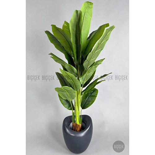 Biçiçek Yapay Muz Ağacı 185-220 Cm Gri Biçiçek Yapay Muz Ağacı 185-220 Cm Gri