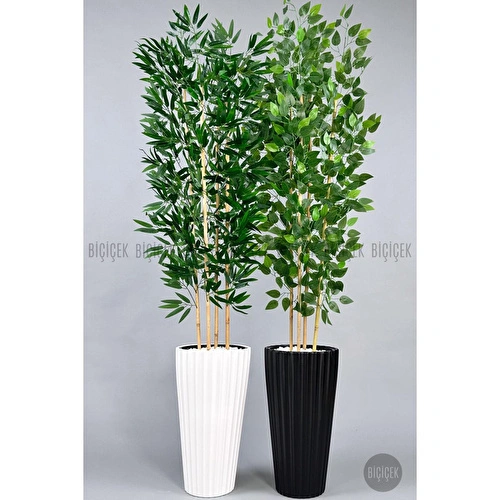 Biçiçek Yapay Bambu Ve Benjamin 4 Dal Yoğun Yapraklı 180 Cm Bambuvebenjamin