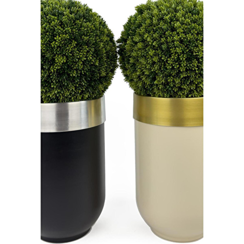 Biçiçek Ikili Şimşir Ağacı 90cm Siyah Ve Krem Darbuka Saksıda