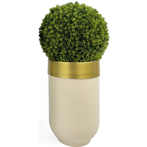 Biçiçek Ikili Şimşir Ağacı 90cm Siyah Ve Krem Darbuka Saksıda