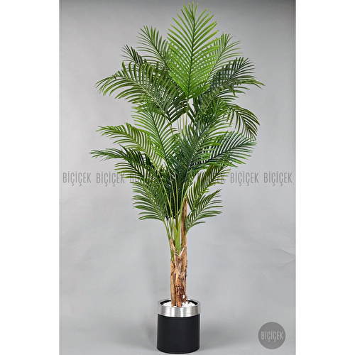 Biçiçek Areka Palmiyesi 220cm Metal Siyah Gümüş Saksıda Biçiçek Areka Palmiyesi 220cm Metal Siyah Gümüş Saksıda