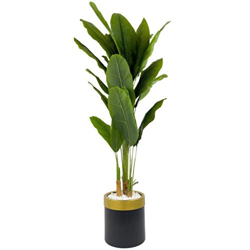 Biçiçek Muz Ağacı 200cm Siyah Gold Metal Saksıda