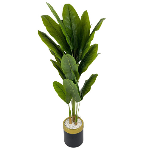 Biçiçek Muz Ağacı 200cm Siyah Gold Metal Saksıda