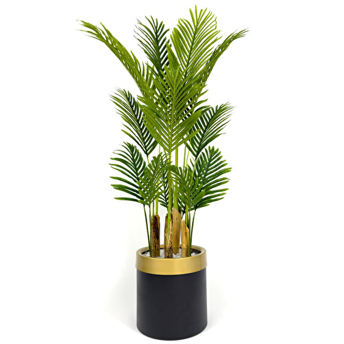 Biçiçek Areka Palmiyesi 160cm Metal Saksıda Black Gold