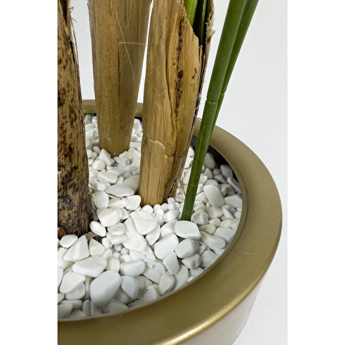 Biçiçek Areka Palmiyesi 160cm Metal Saksıda Black Gold