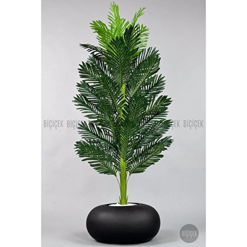 Biçiçek Yapay Areka Ağacı 160-180 Cm Siyahfi̇ber170cm