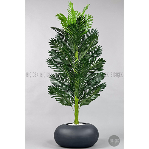 Biçiçek Yapay Areka Ağacı 160-180 Cm Grifi̇ber170cm