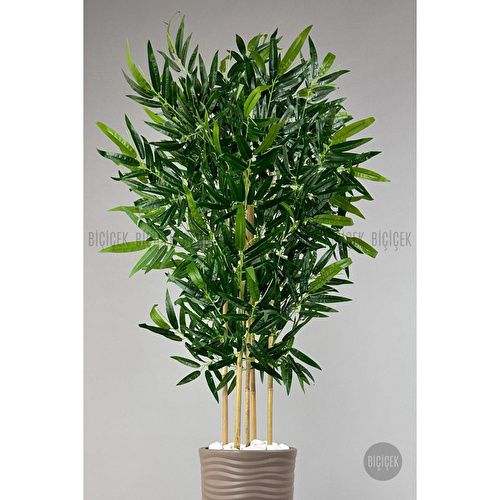 Biçiçek Yapay Bambu Ağacı 185cm Büyük Yapraklı 5 Bambulu Bej Renk Kumsal Saksıda Yapay Ağaç
