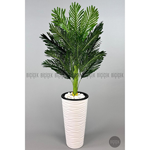 Biçiçek 150cm Areka Ağacı Kumsal Saksıda Siyah Biçiçek 150cm Areka Ağacı Kumsal Saksıda Siyah