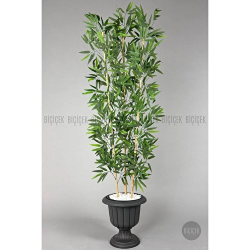 Biçiçek Yapay Bambu Ağacı 170cm Yoğun Yapraklı Antrasit Renk Nergis Saksıda Biçiçek Yapay Bambu Ağacı 170cm Yoğun Yapraklı Antrasit Renk Nergis Saksıda