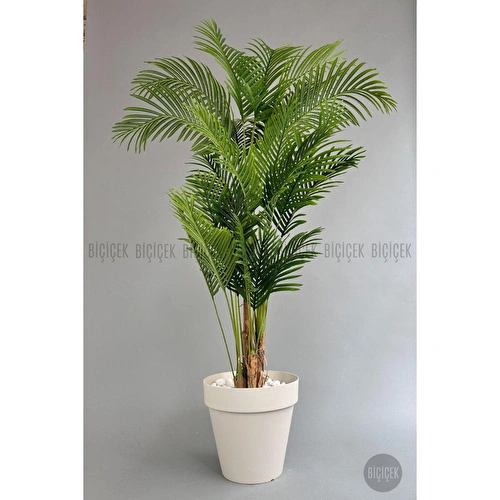 Biçiçek Yapay Areka Ağacı Büyük Boy Palmiye Ağacı 4 Bambu Gövdeli 220cm Kırıkbeyaz Renk Yalı Saksıda
