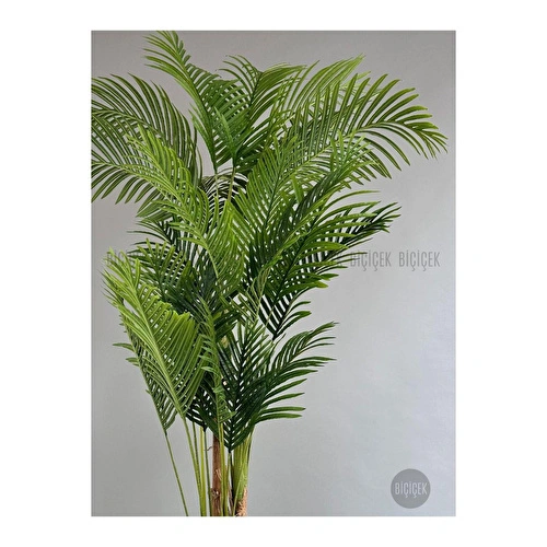 Biçiçek Yapay Areka Ağacı Büyük Boy Palmiye Ağacı 4 Bambu Gövdeli 220cm Kırıkbeyaz Renk Yalı Saksıda