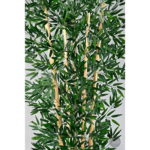 Biçiçek Zen Bambu Ağacı 220-240 Cm Fiber Saksıda Siyahfiber1 Biçiçek Zen Bambu Ağacı 220-240 Cm Fiber Saksıda Siyahfiber1