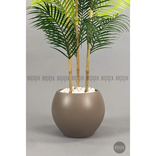 Biçiçek 120cm Areka Ağacı 24 Yapraklı Küre Saksıda 3 Biçiçek 120cm Areka Ağacı 24 Yapraklı Küre Saksıda 3