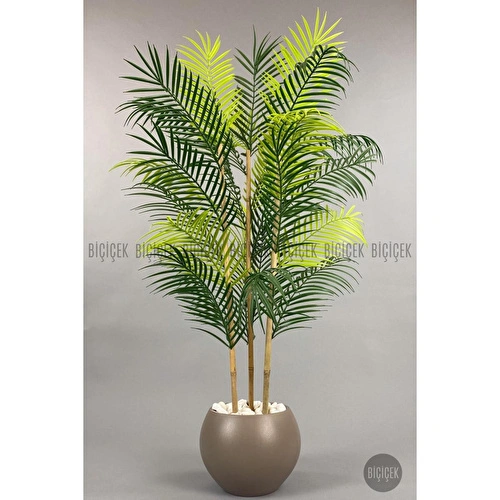 Biçiçek 120cm Areka Ağacı 24 Yapraklı Küre Saksıda 3