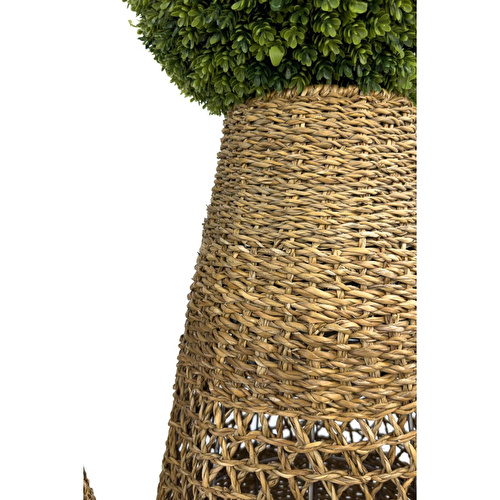 Biçiçek Luxury Şimşir Ağacı 110cm Hasır Saksıda Bohem4