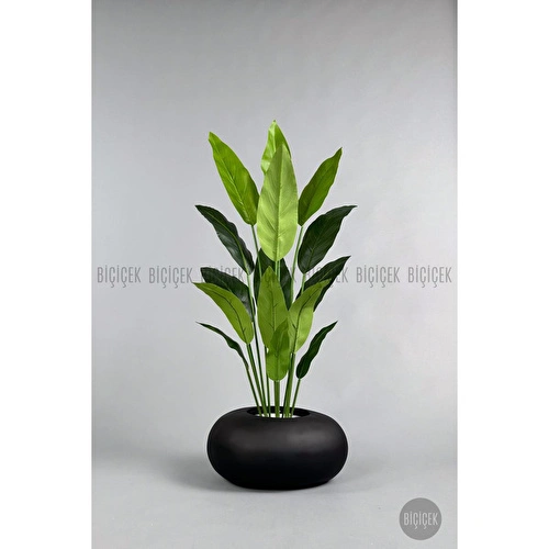 Biçiçek Yapay Starliçe Ağacı 140-170 Cm Siyah3 Biçiçek Yapay Starliçe Ağacı 140-170 Cm Siyah3