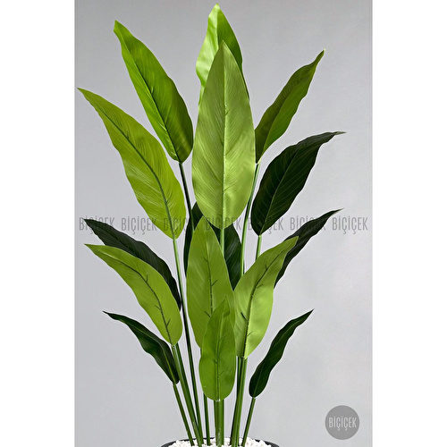 Biçiçek Yapay Starliçe Ağacı 140-170 Cm Kahverengi Biçiçek Yapay Starliçe Ağacı 140-170 Cm Kahverengi