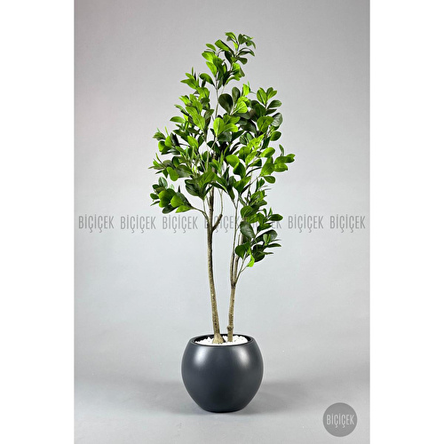 Biçiçek Yapay Manolya Ağacı 150-180cm Gri Biçiçek Yapay Manolya Ağacı 150-180cm Gri