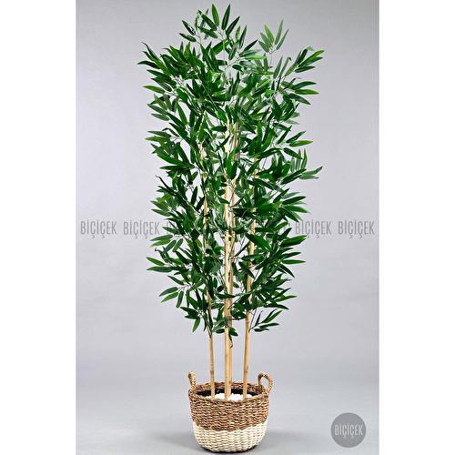 Biçiçek 140 Cm Yapay Bambu Ağacı Krem Hasır Saksıda