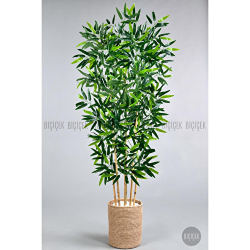 Biçiçek Yapay Bambu Ağacı 6 Dallı 150 Cm Yoğun Yapraklı Jütsaksı Biçiçek Yapay Bambu Ağacı 6 Dallı 150 Cm Yoğun Yapraklı Jütsaksı