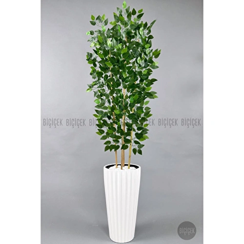 Biçiçek Yapay Bambu Ve Benjamin 4 Dal Yoğun Yapraklı 180 Cm Beyazbenjamin