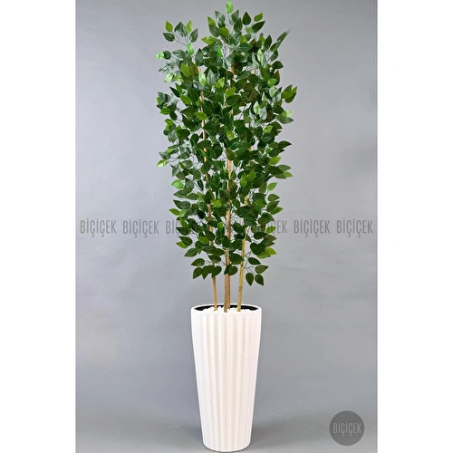 Biçiçek Yapay Bambu Ve Benjamin 4 Dal Yoğun Yapraklı 180 Cm Beyazbenjamin