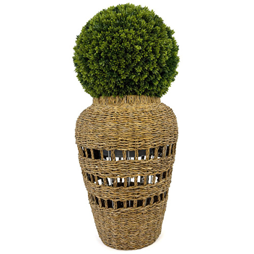 Biçiçek Luxury Şimşir Ağacı 100cm Hasır Saksıda Bohem3