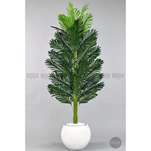 Biçiçek Yapay Areka Ağacı 160-180 Cm Beyazküre170cm