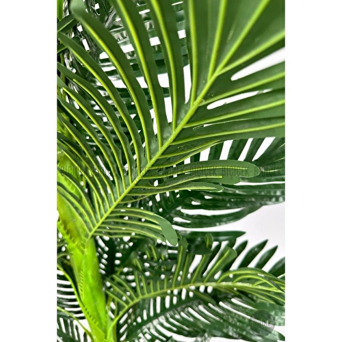 Biçiçek Yapay Areka Ağacı 160-180 Cm Beyazküre170cm