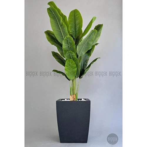 Biçiçek Yapay Muz Ağacı 200 Cm Lux Dış Mekan Saksıda 2