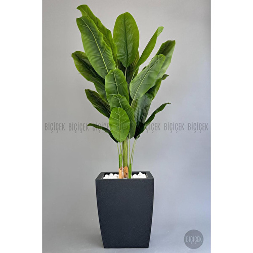 Biçiçek Yapay Muz Ağacı 200 Cm Lux Dış Mekan Saksıda 2