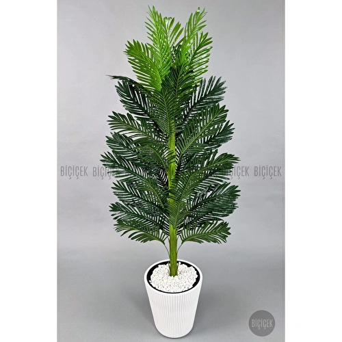 Biçiçek Yapay Areka Ağacı 160-180 Cm Beyazluna180cm