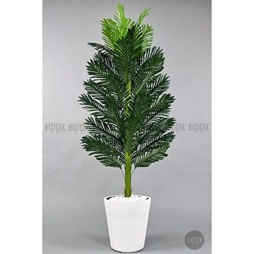 Biçiçek Yapay Areka Ağacı 160-180 Cm Beyazluna180cm