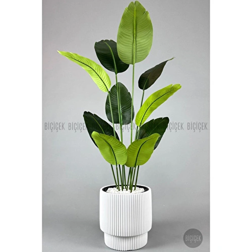 Biçiçek Yapay Muz Ağacı 145-185 Cm Beyaz1 Biçiçek Yapay Muz Ağacı 145-185 Cm Beyaz1