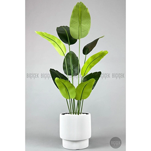 Biçiçek Yapay Muz Ağacı 145-185 Cm Beyaz1