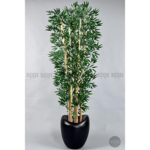 Biçiçek Zen Bambu Ağacı 220-240 Cm Fiber Saksıda Siyahfiber2
