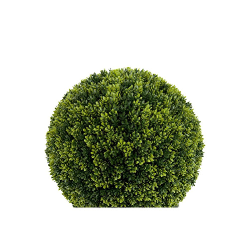 Biçiçek Şimşir Ağacı 90cm Siyah Gümüş Darbuka Saksıda