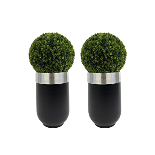 Biçiçek Şimşir Ağacı 90cm Siyah Gümüş Darbuka Saksıda