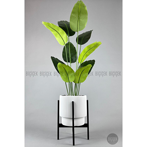 Biçiçek Yapay Muz Ağacı 145-185 Cm Beyaz2