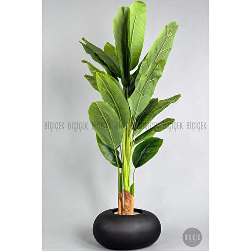 Biçiçek Yapay Muz Ağacı 185-220 Cm Siyah1